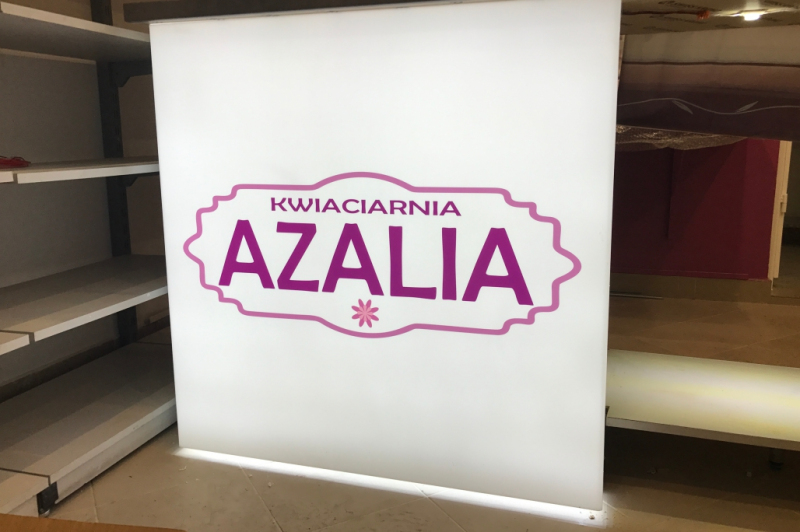 Podświetlana lada kwiaciarni Azalia - Zaprojektujemy i zrealizujemy każde zamówienie